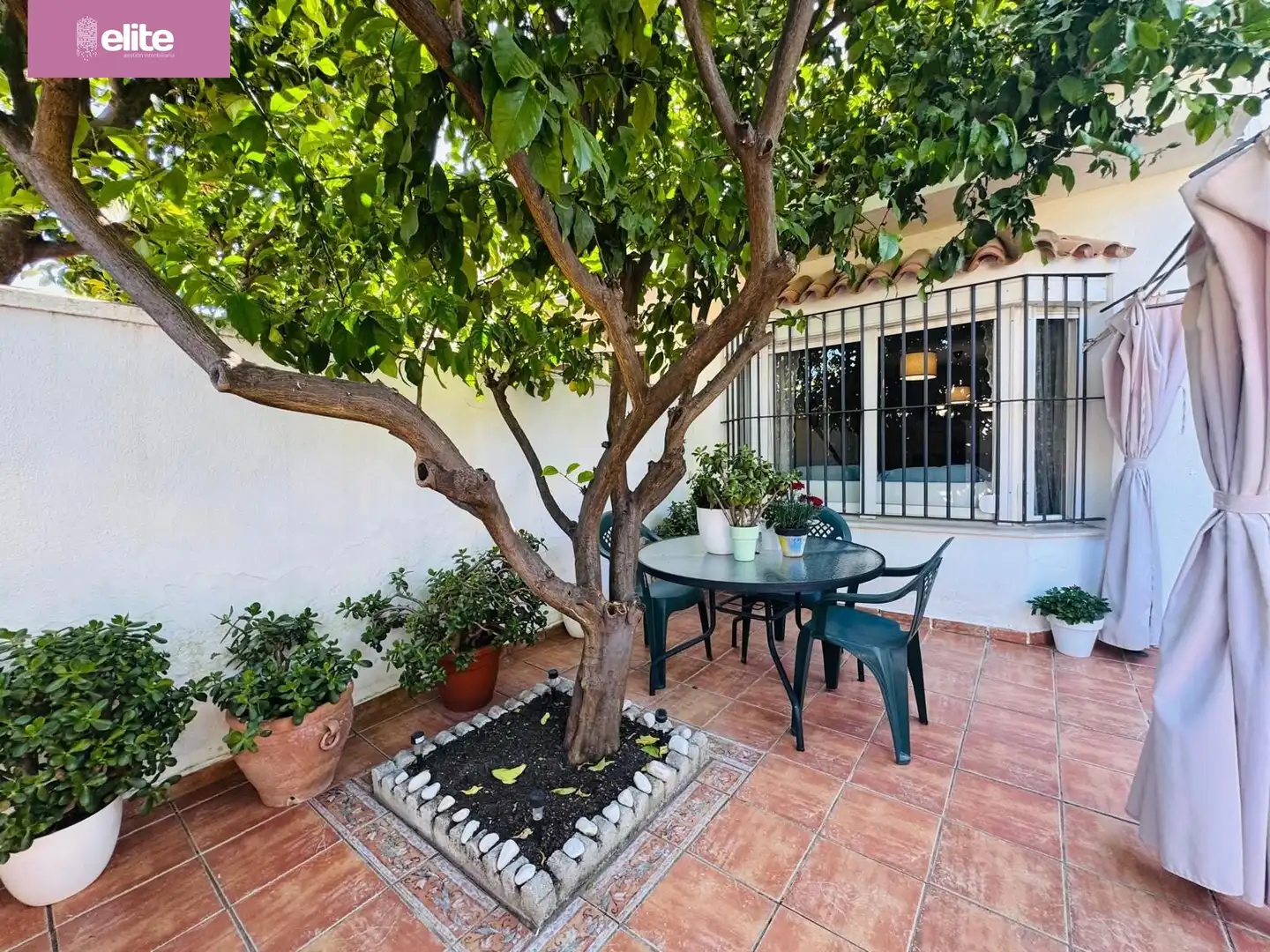 Detached homes for sale in El Rocío - La Milagrosa