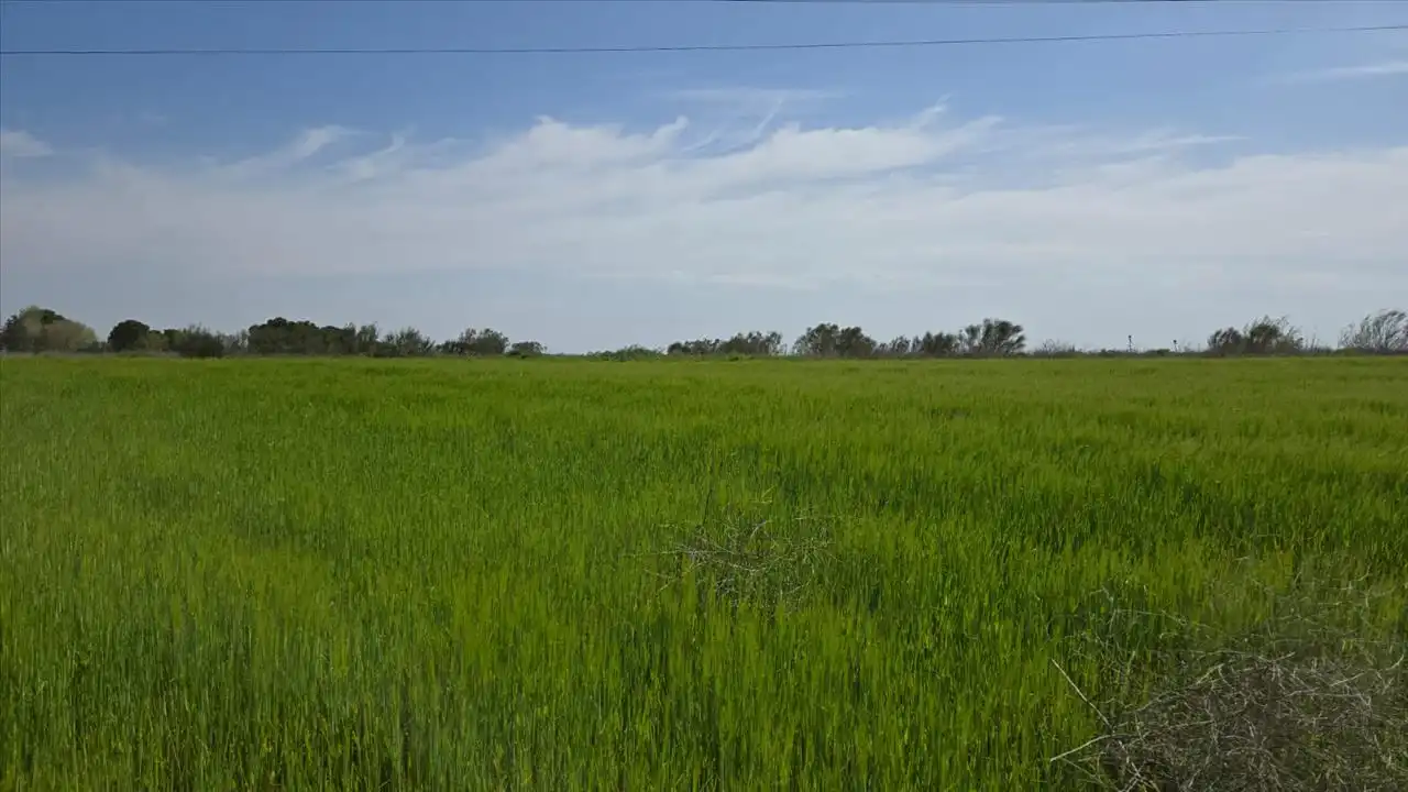 Residencial en venta en Torrejón de Velasco
