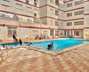 Piscina de Apartament en venda en Torrevieja amb Aire condicionat i Piscina comunitària