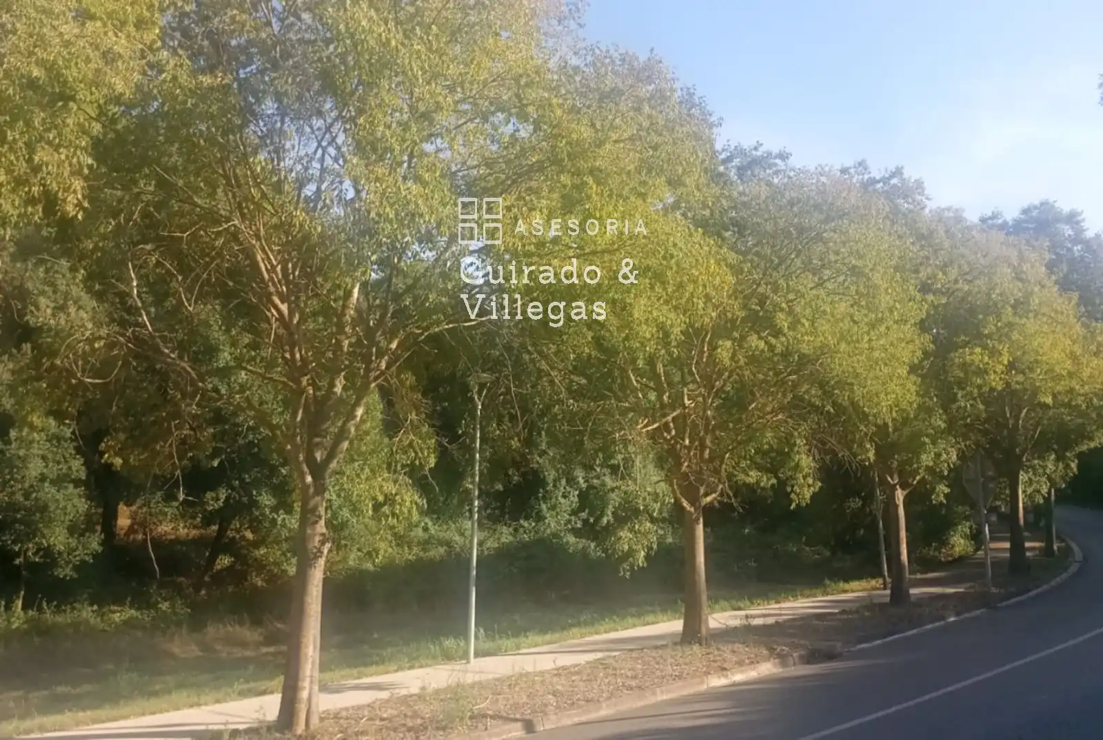 Rustikales Grundstück zum Verkauf in Calle Montseny, imagen 14