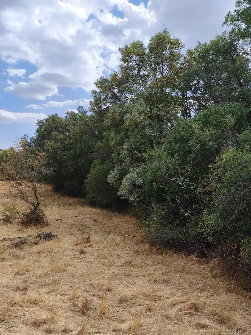 Terreno en venta en Piñuécar-Gandullas