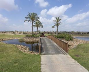 Vista exterior de Apartament en venda en Fuente Álamo de Murcia amb Aire condicionat i Terrassa