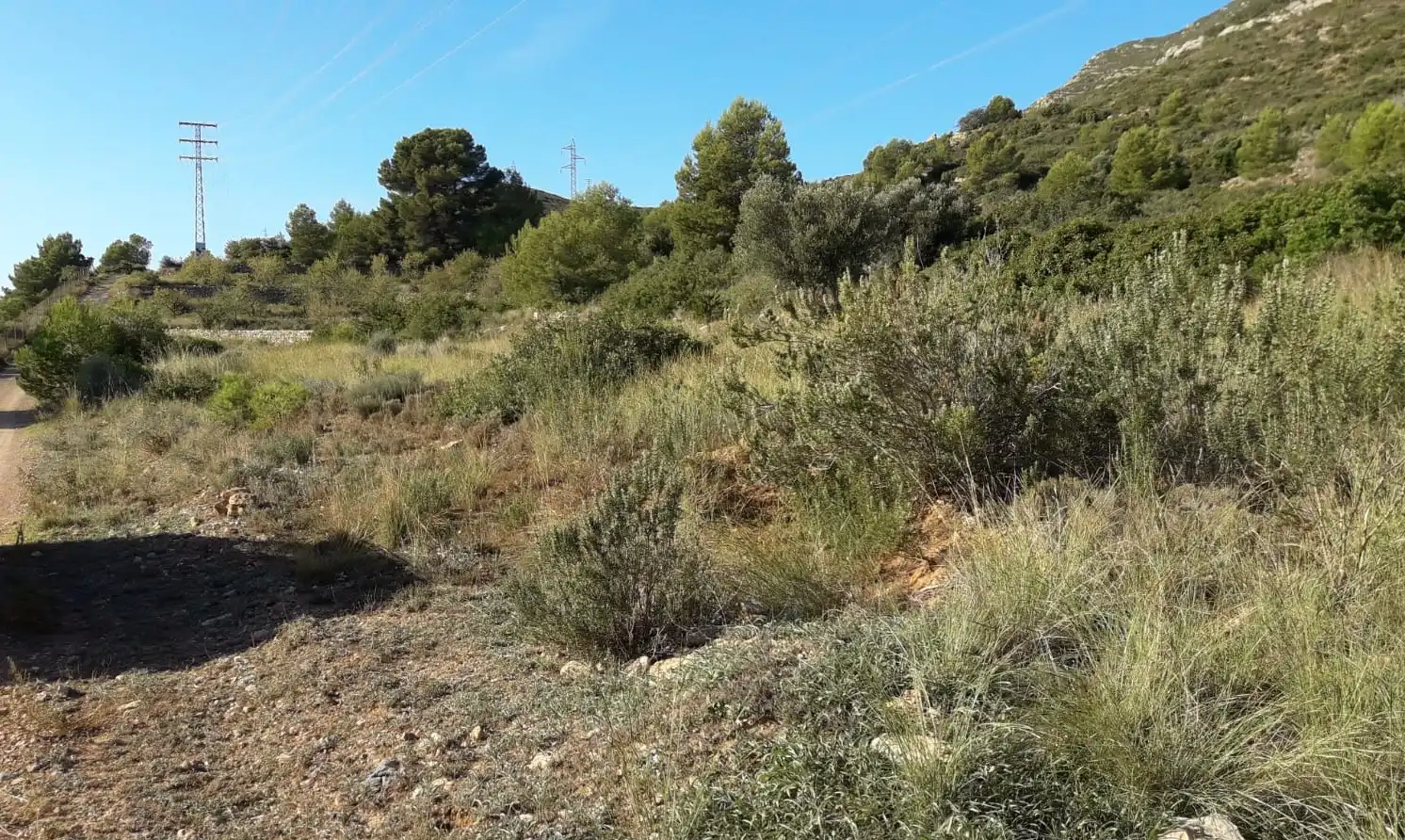 Residential land for sale in Polígono 5, imagen 5