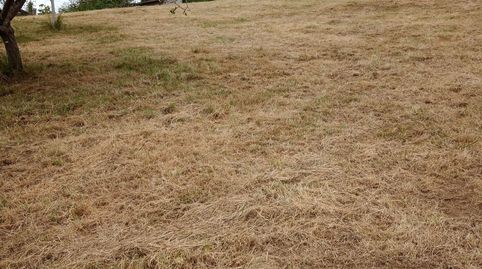 FINCA EDIFICABLE EN LA ZONA DE PARRES DE 4.400M2, immagine 2