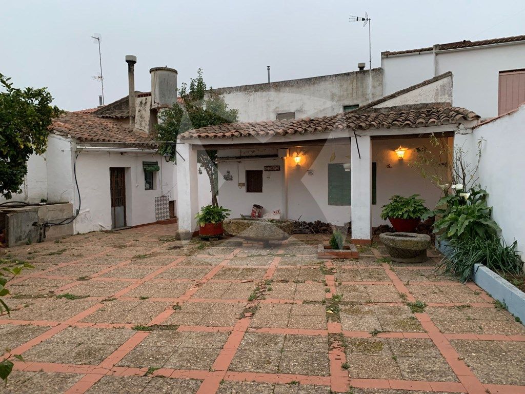 Exterior view of House or chalet for sale in Solana de los Barros  with Terrace
