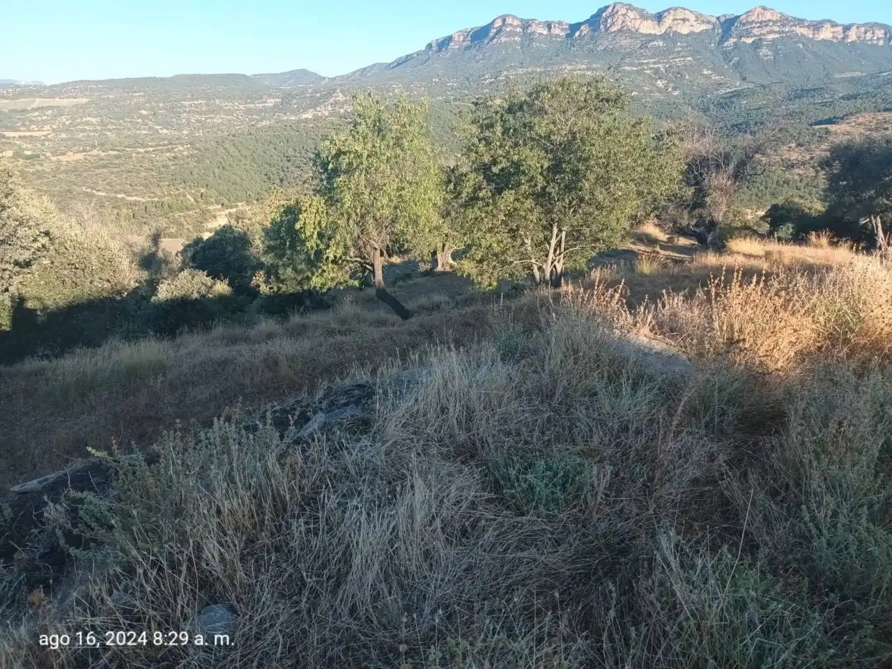 Land for sale in Isábena
