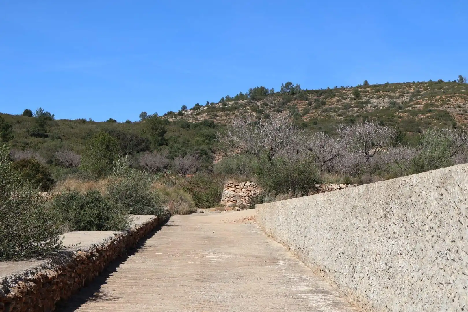 Terreno en venta en BARONA, Vall d'Alba