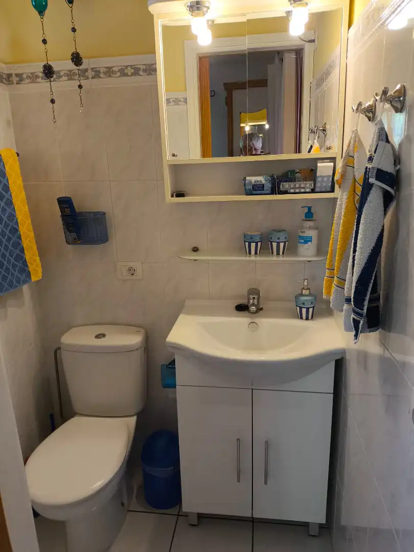 Bany de Casa o xalet en venda en El Paso amb Aire condicionat, Calefacció i Jardí privat