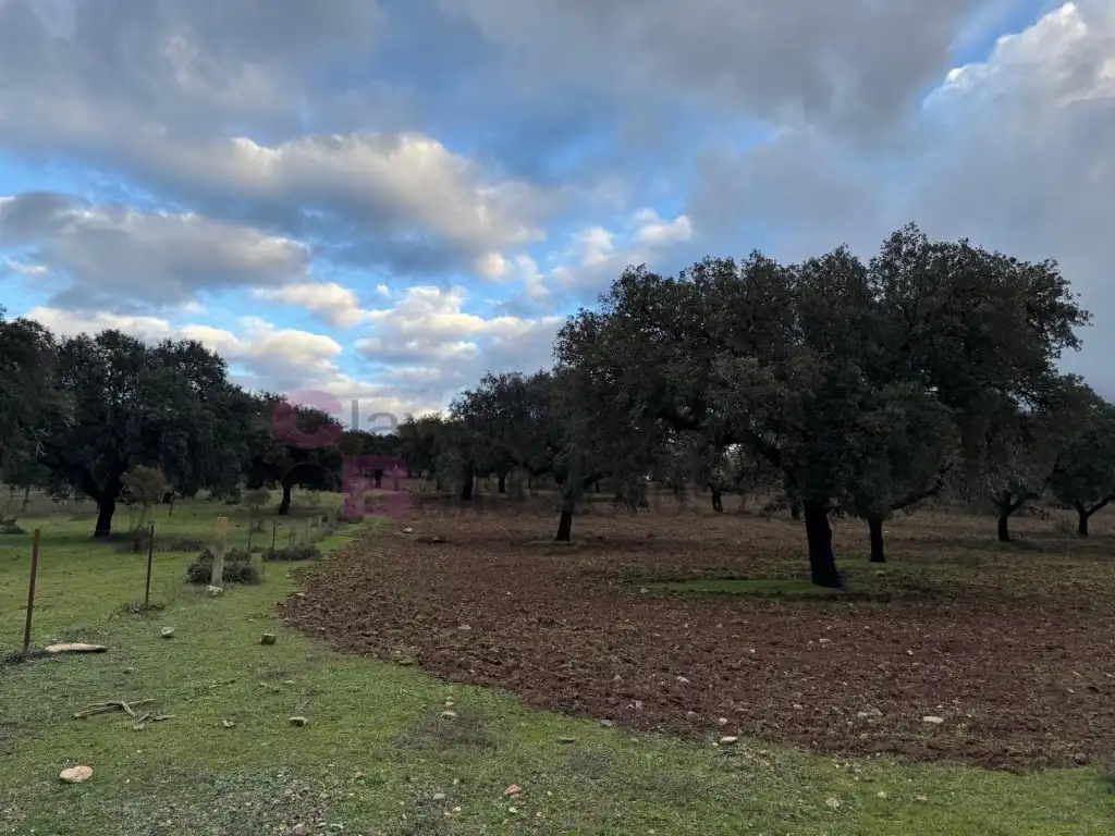 Casa o xalet en venda a Calle Cuesta de Artesanos, Valdesalor - Rincón de Ballesteros