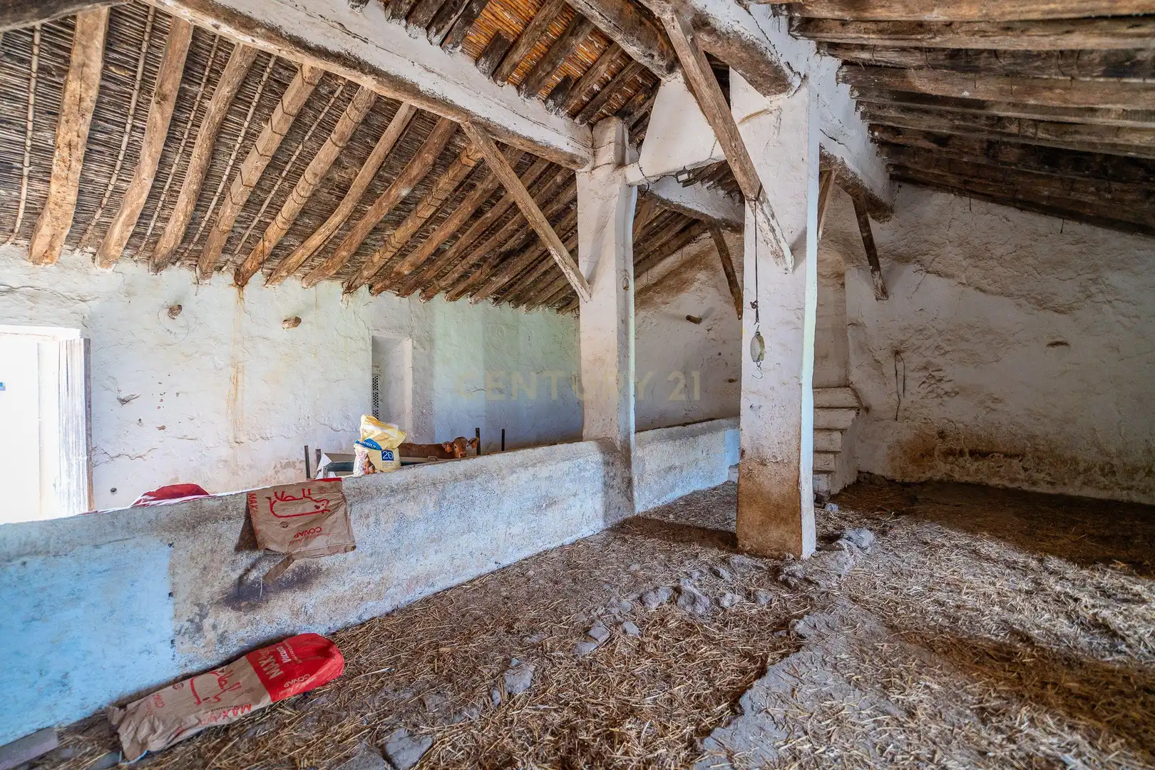 Casa in vendita a Olvera, Spain Polígono 24 Parcela 159 - La Mota, imagen 16