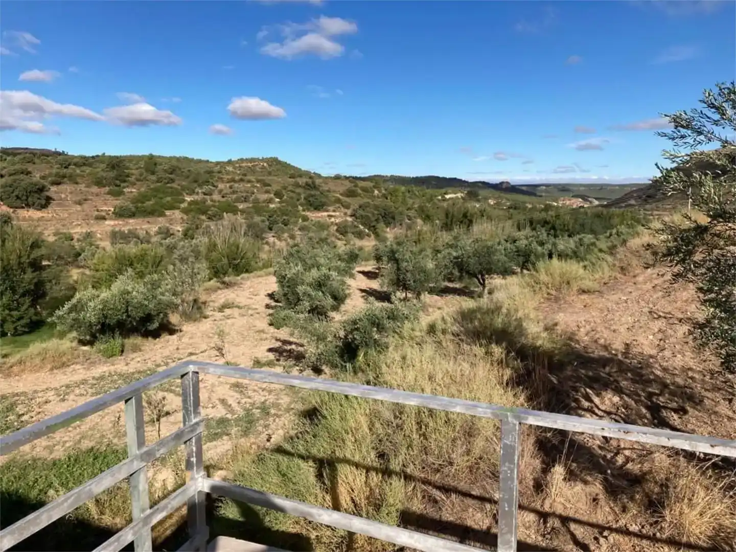Land for sale in Crivillén