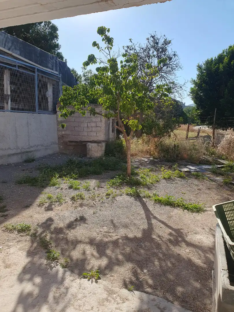 Casa o chalet en venta en Berja