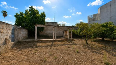 Solar en Muro, immagine 5