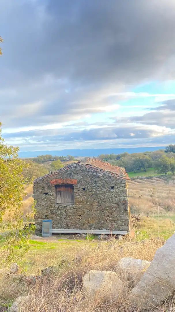 Terreni e lotti in vendita a Gargüera, imagen 17