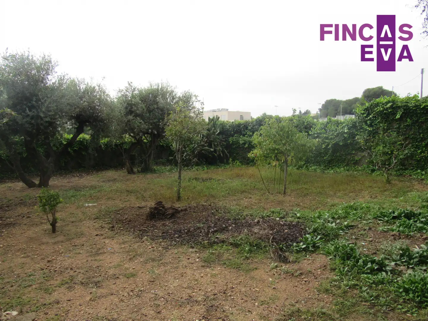 Residential land for sale in Tarragona - LLORITO, imagen 6