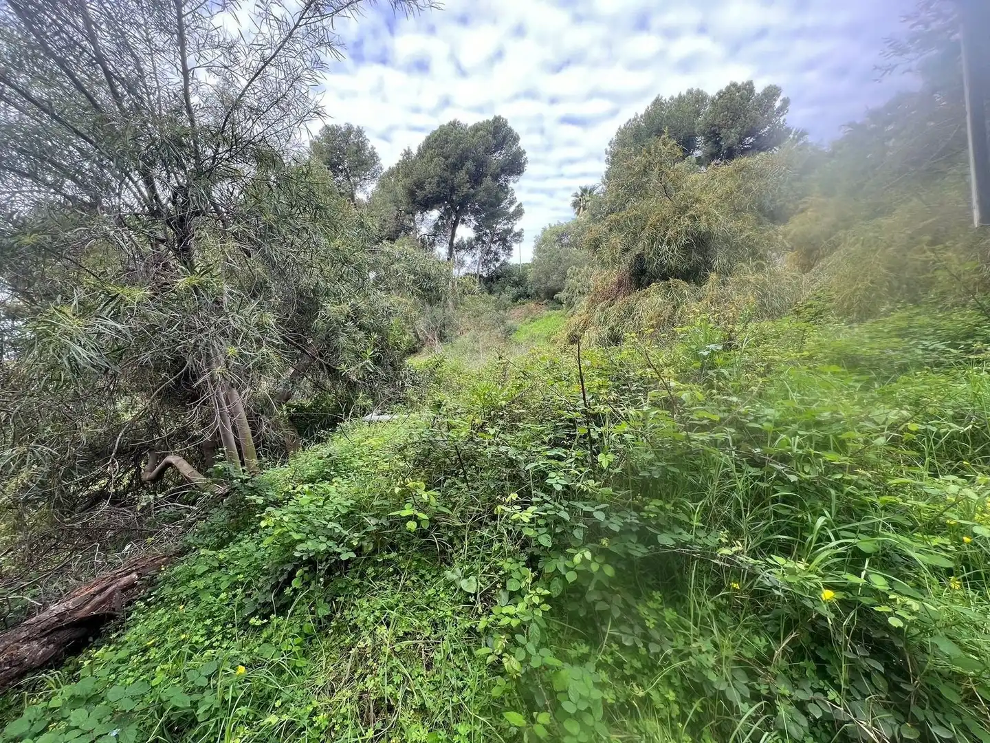 Residencial en venda en Marbella