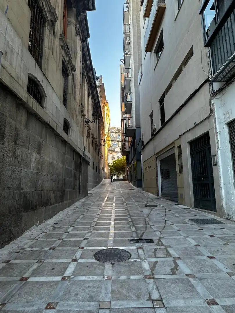 Pis amb terrassa en venda a Callejón las Flores 3, imagen 4
