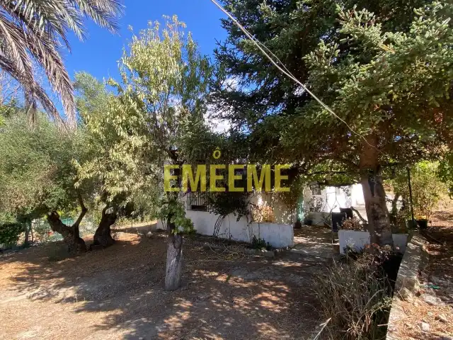 Detached house with pool for sale in Arriate, imagen 4
