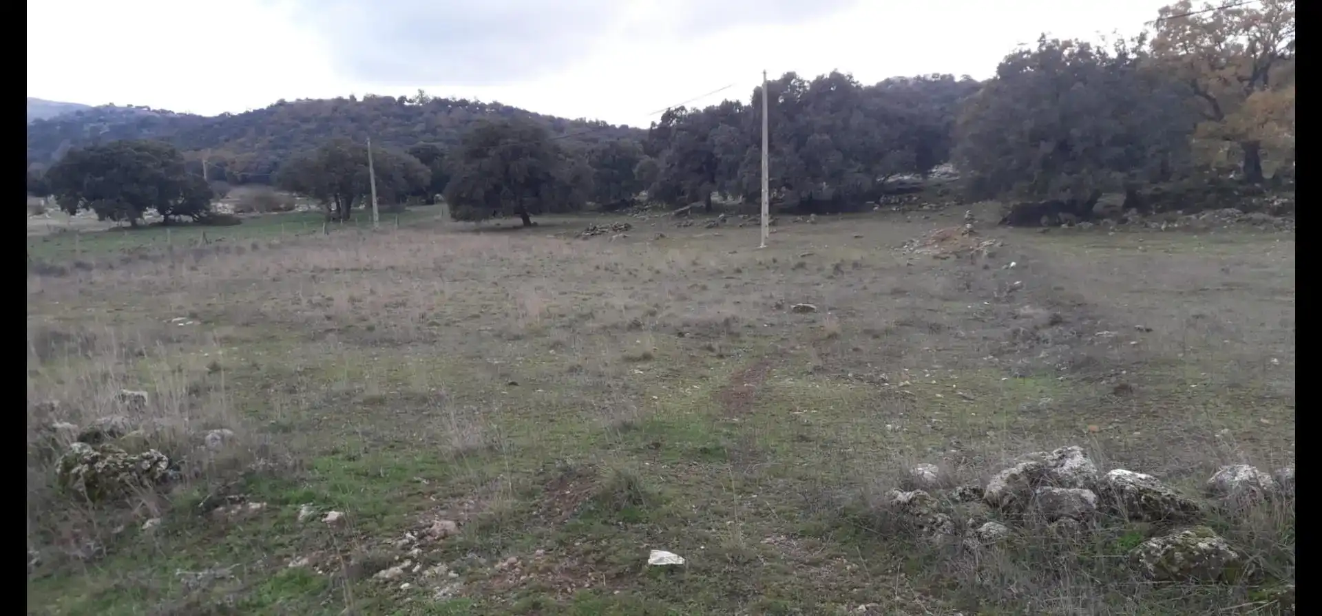 Country homes for sale in Zafarraya