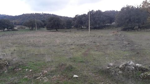 Foto 3 de Finca rústica en venda a Zafarraya, Granada