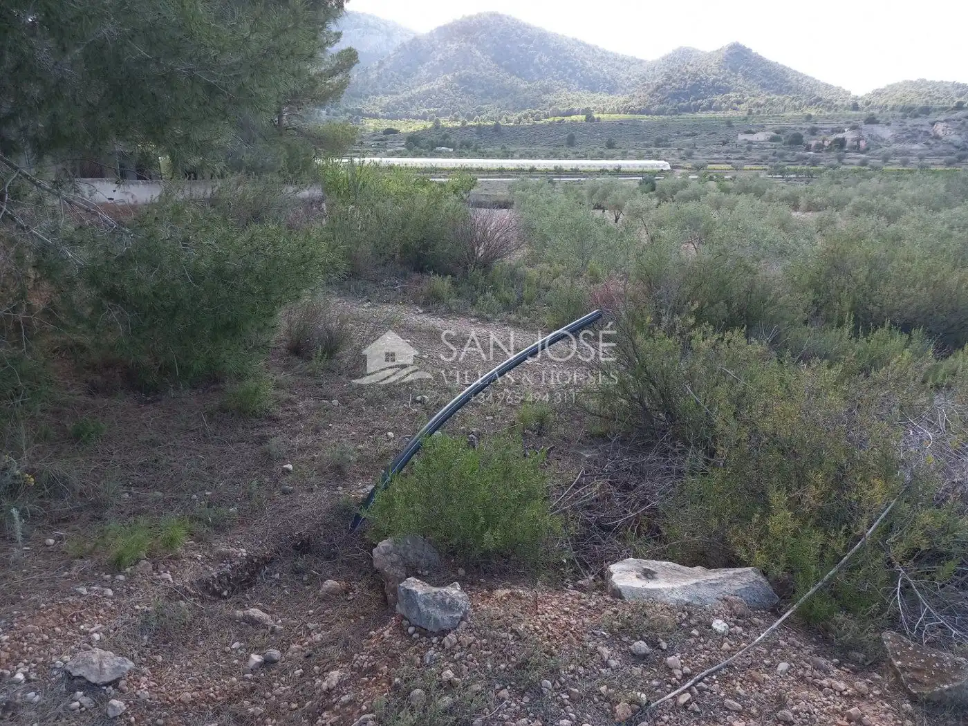 Terrenys i solars en venda a Monóvar  / Monòver, imagen 19