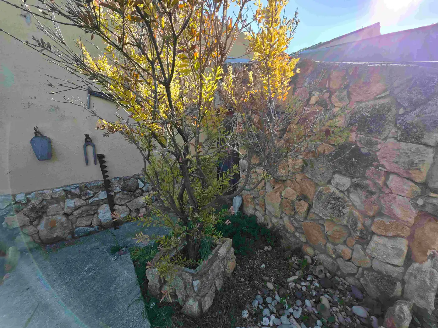 Jardín de Casa o chalet en venta en Valls con Jardín privado y Piscina