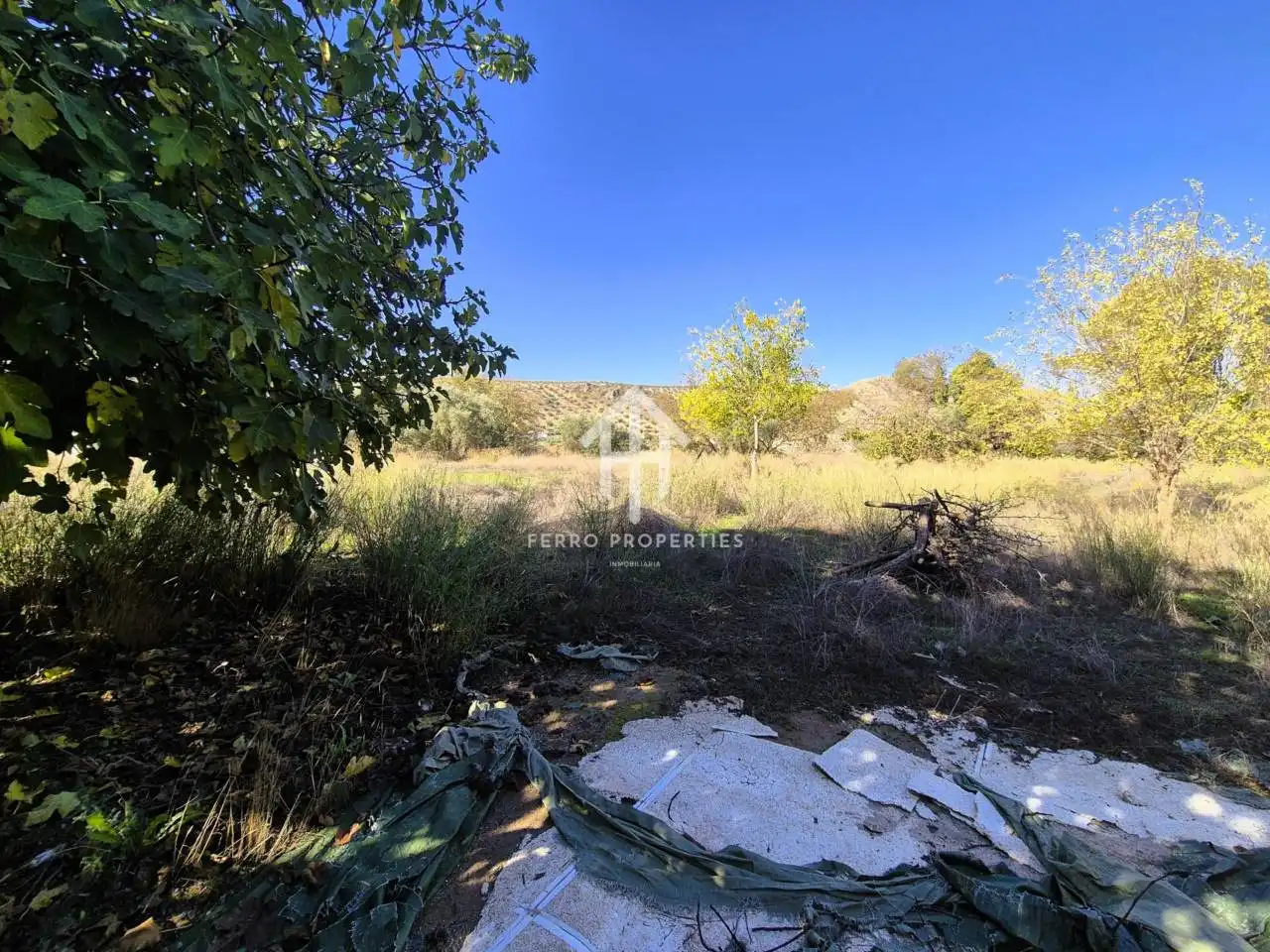 Land for sale in Loja