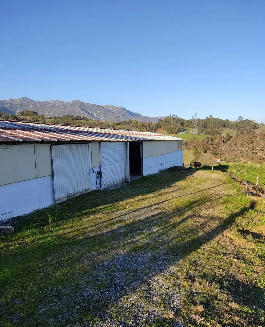 Außenansicht von Fabrikhallen zum Verkauf in Piloña