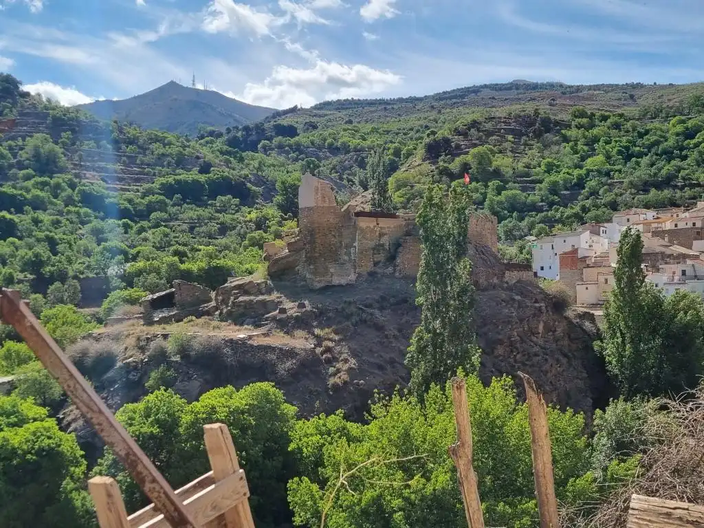 Exterior view of Buildings for sale in Bacares