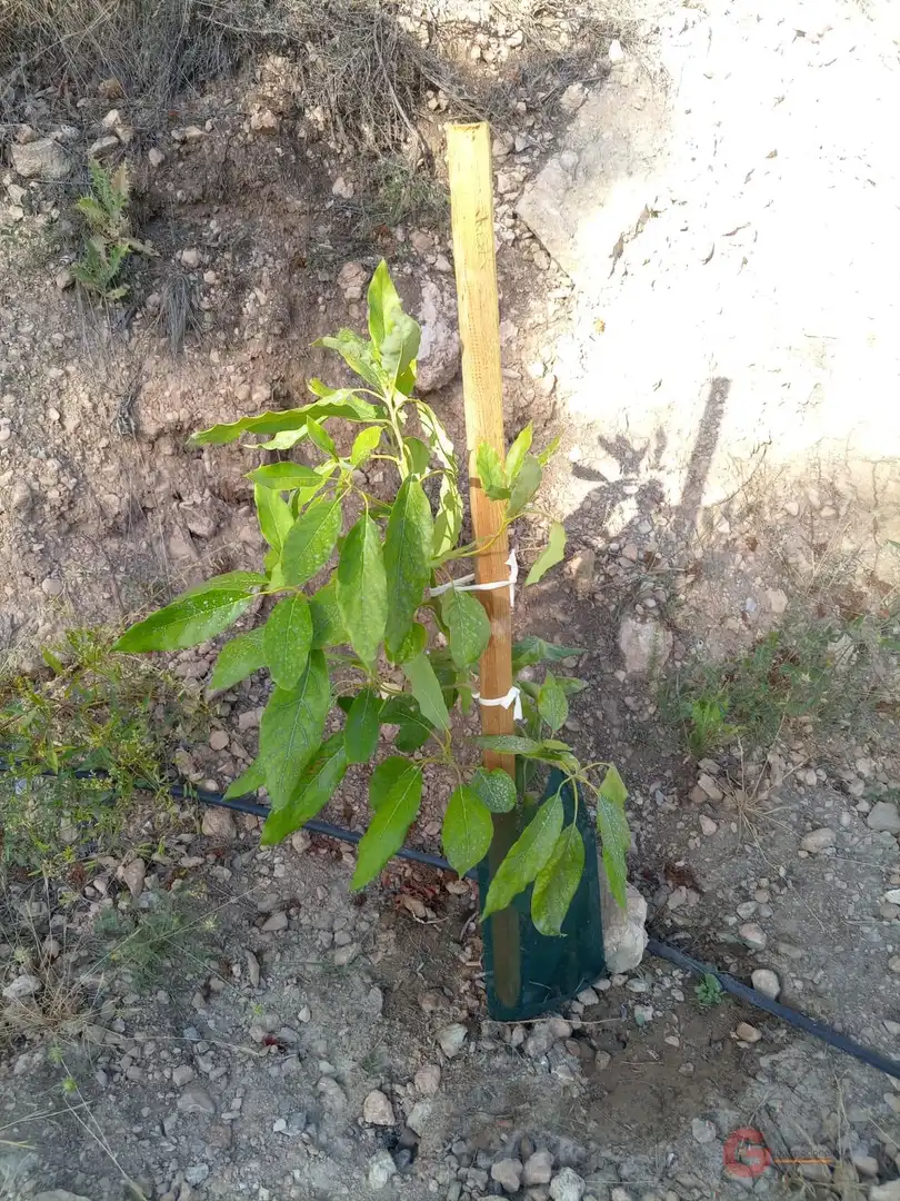 Terrenys i solars en venda a Los Guájares, imagen 11