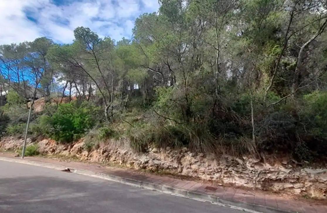 Lands and plots for sale in miranda 38, imagen 17