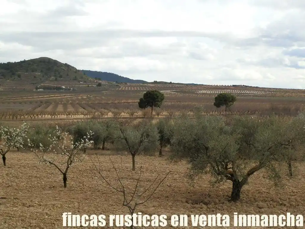 Rustikales Grundstück zum Verkauf in Cieza, imagen 6