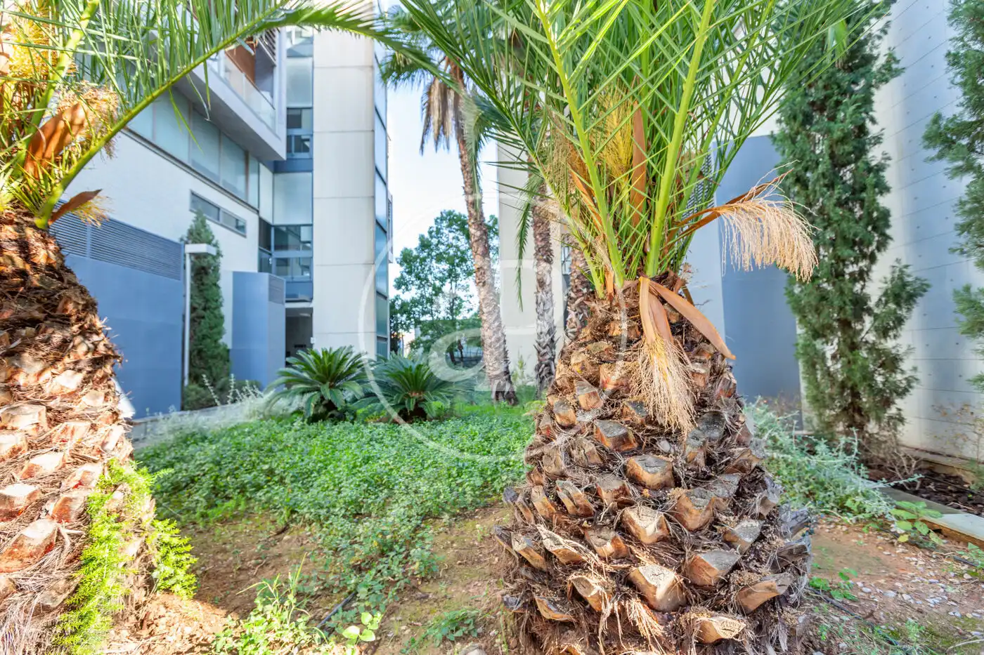 Vista exterior de Piso en venta en Valencia con Aire acondicionado, Calefacción y Jardín privado