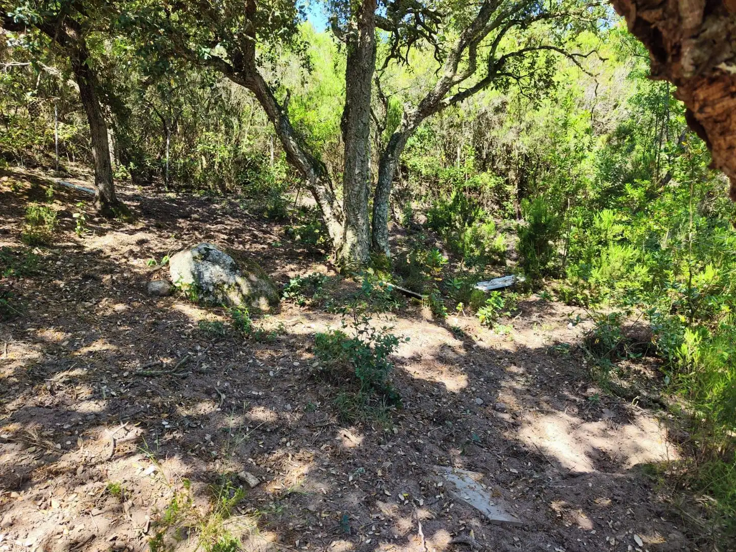 Lands and plots for sale in Llagostera, imagen 14