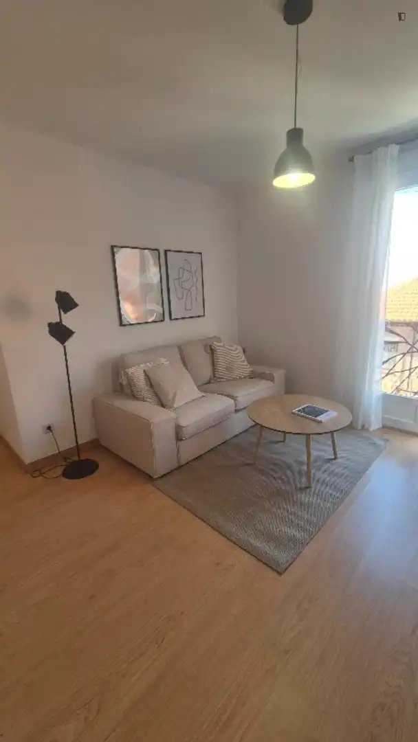 Living room of Apartments for rent in Madrid  with Air Conditioner, Heating and Furnished