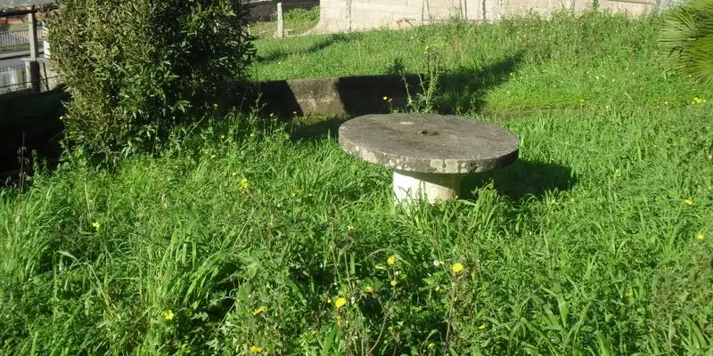 Maison avec terrasse à vendre à Avenida AEROPUERTO, imagen 14