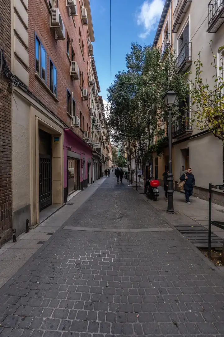 Pis en venda a Calle de la Ballesta, imagen 45