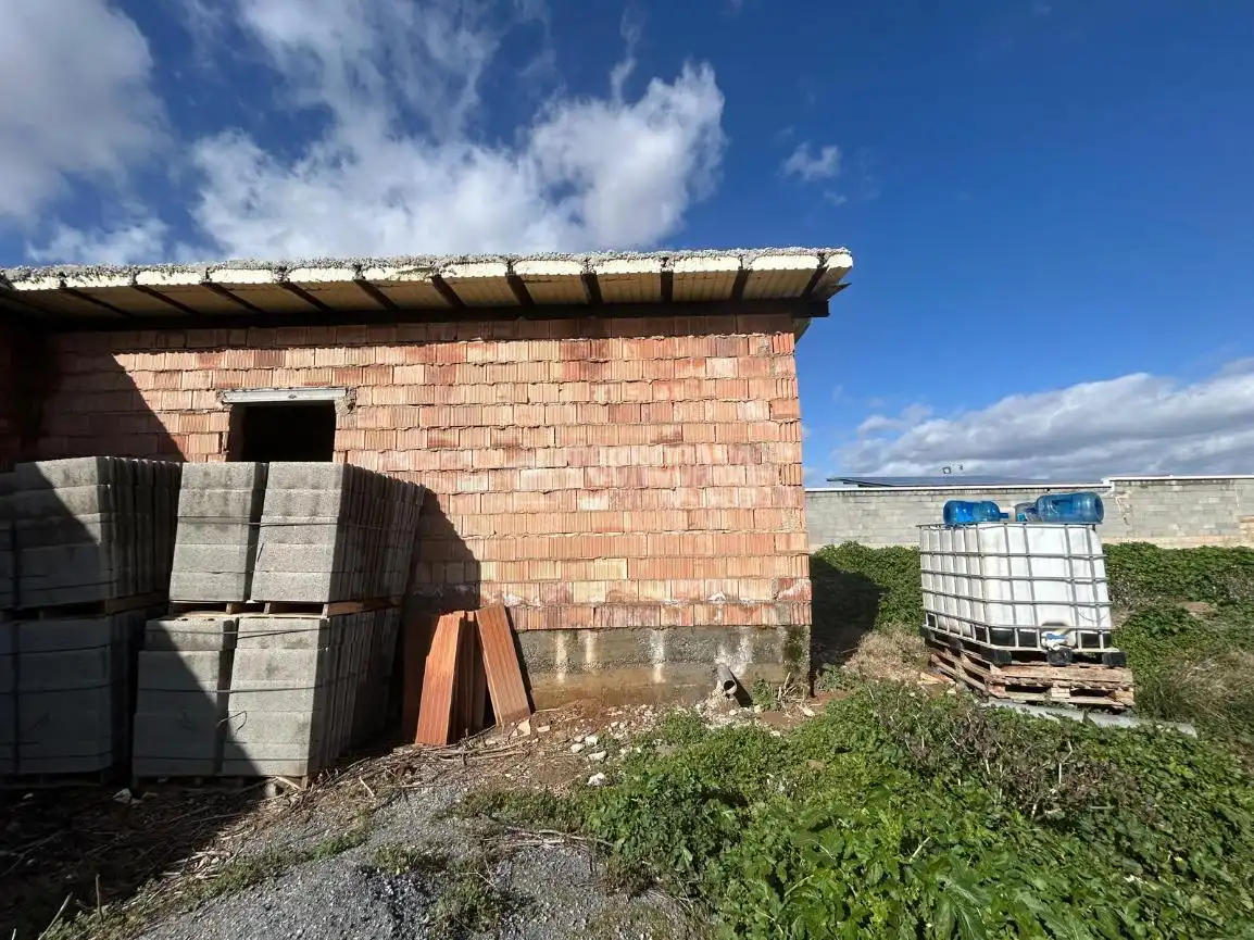 Vista exterior de Finca rústica en venda en Albolote