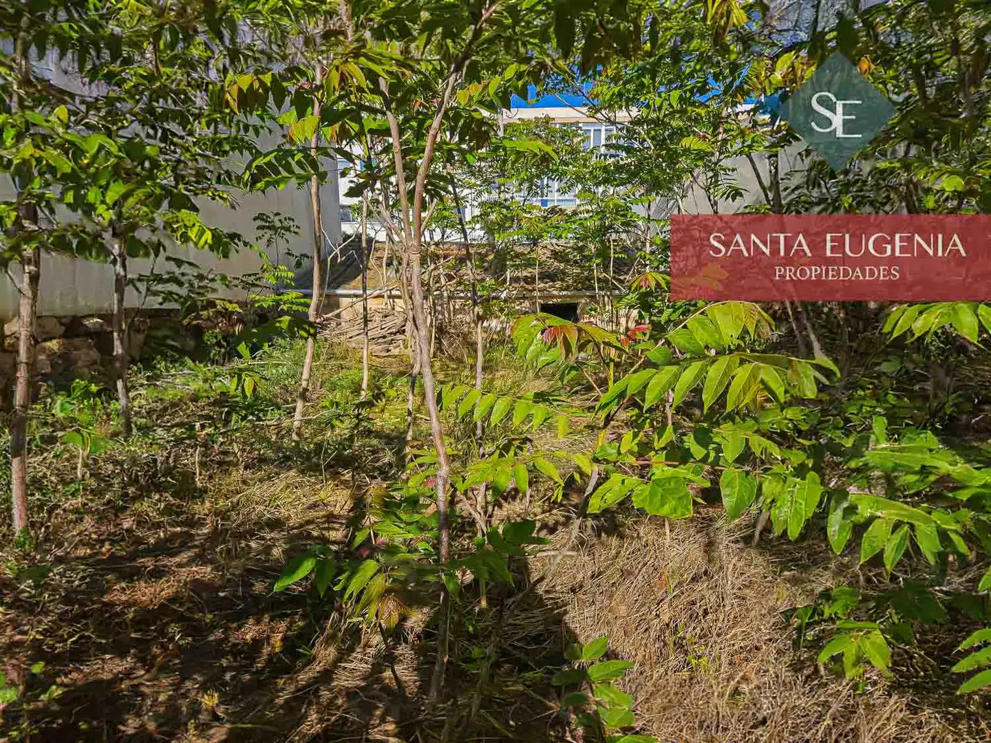 Terreno residencial en venta en Maó ciutat, imagen 10