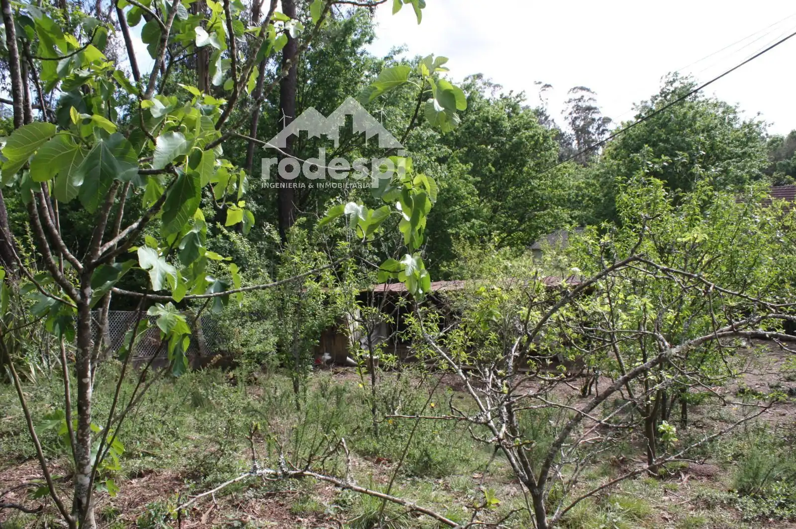 Maison à vendre à Salvaterra de Miño, imagen 17