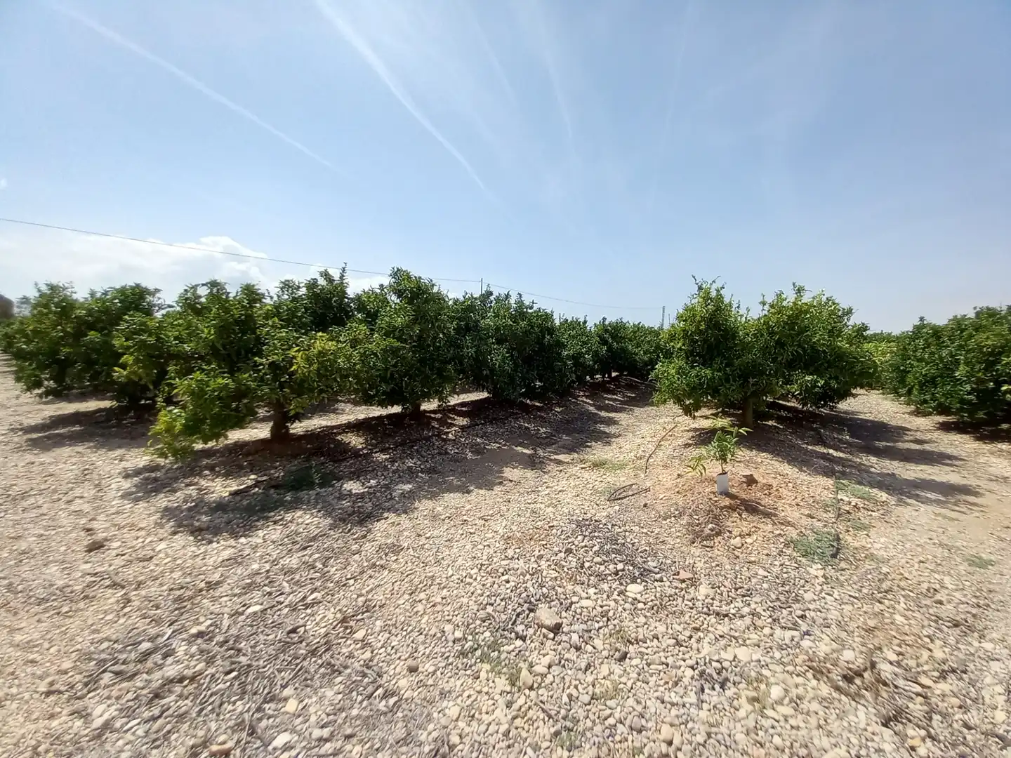 Terreno rustico in vendita a Costa Norte, imagen 43