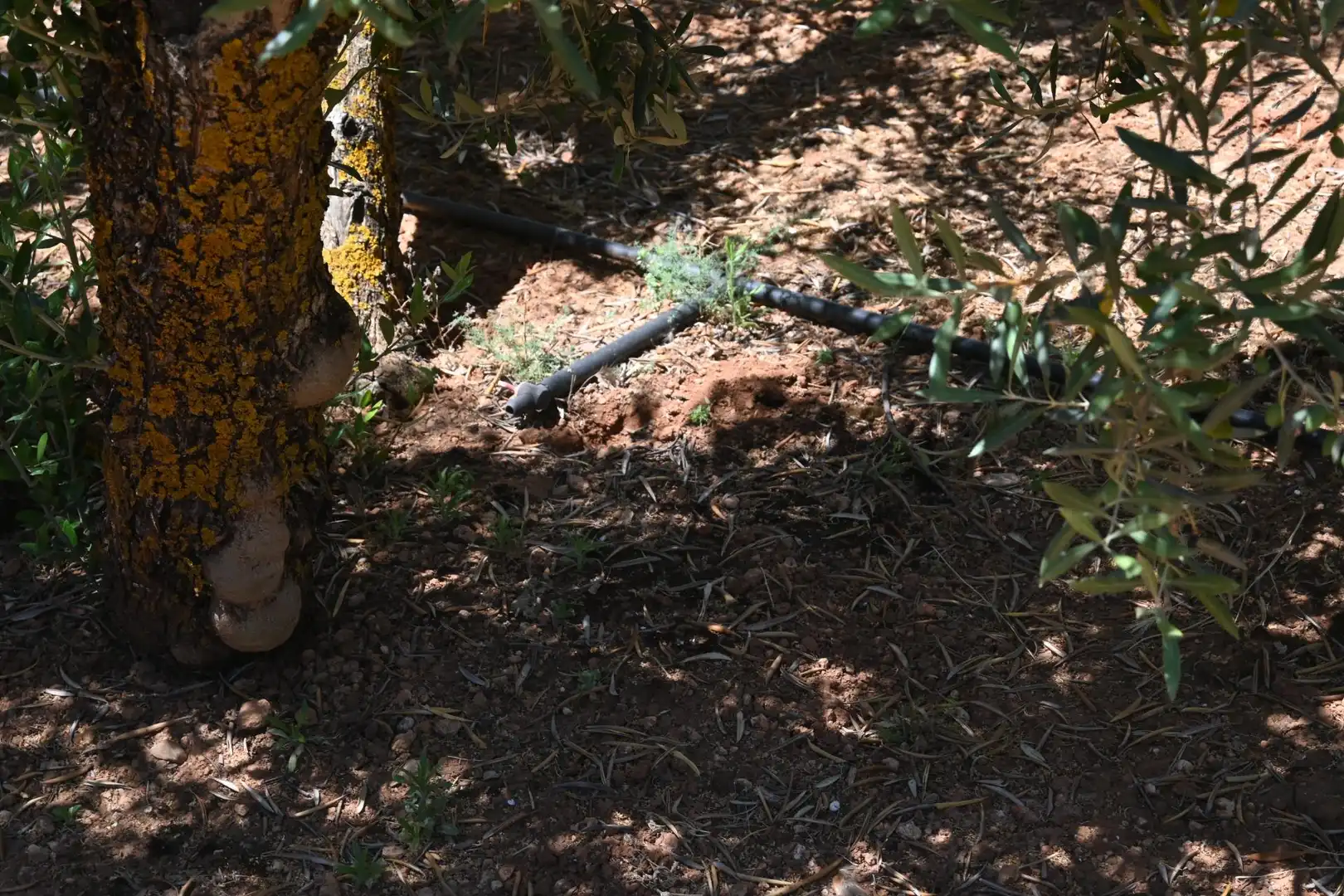 Terreni e lotti in vendita a Albolote, imagen 24