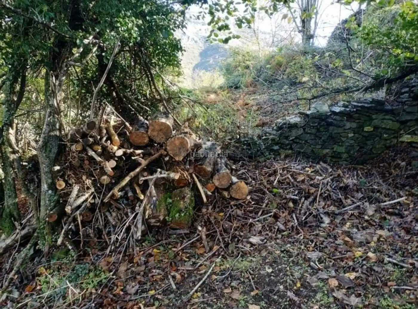 Haus zum Verkauf in Caserio Llananzanes 11, imagen 16