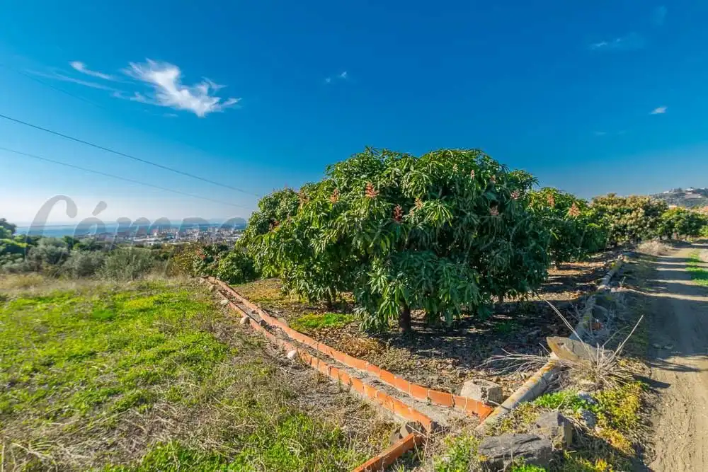 Terreno residenziale in vendita a Torrox Park, imagen 8