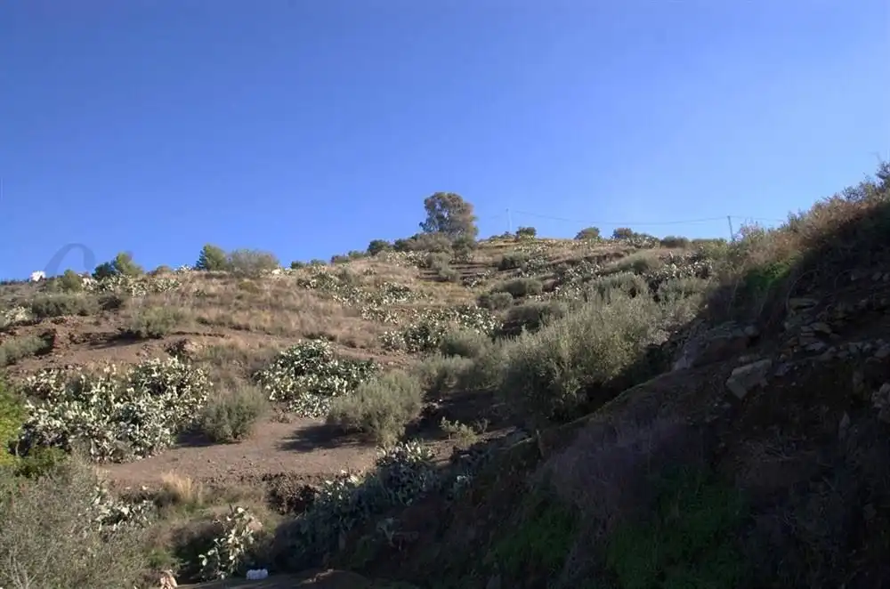 Casa en venda a Torrox Pueblo, imagen 5
