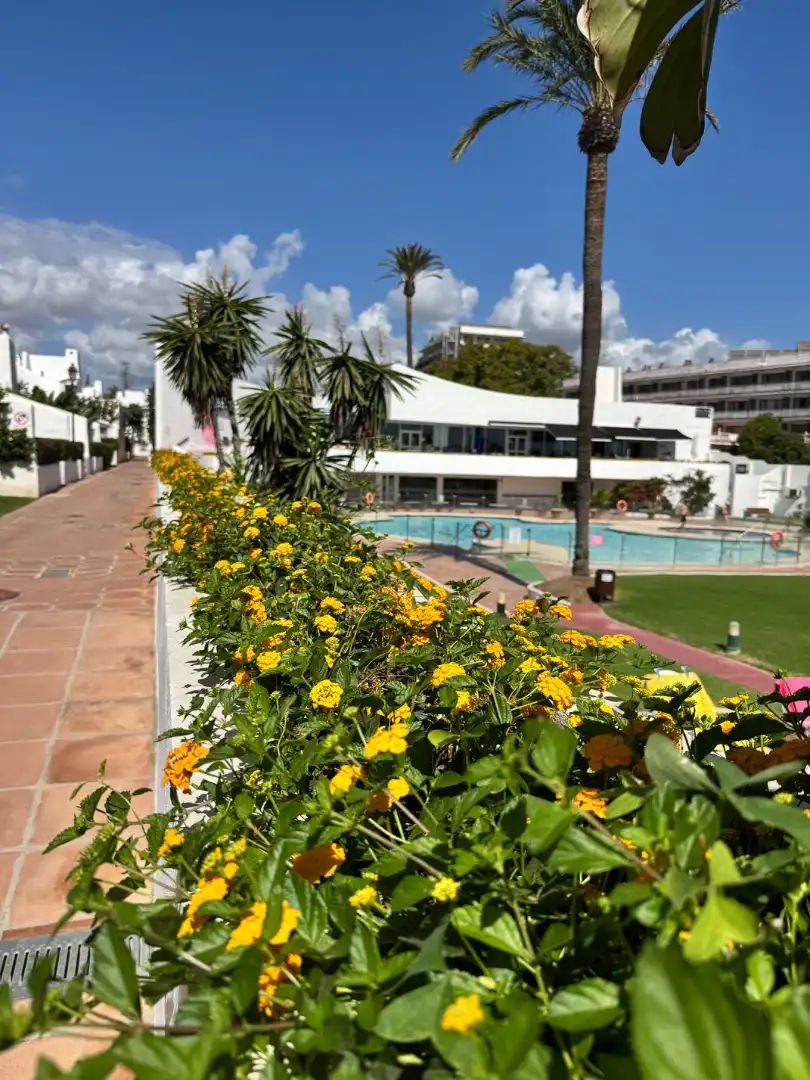 Swimming pool of Study for rent in Estepona  with Air Conditioner, Heating and Private garden