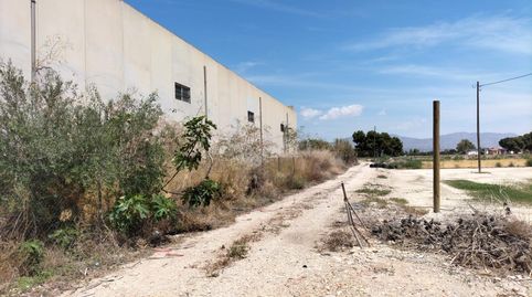 FINCA  RUSTICA CON UNA VIVIENDA, image 5