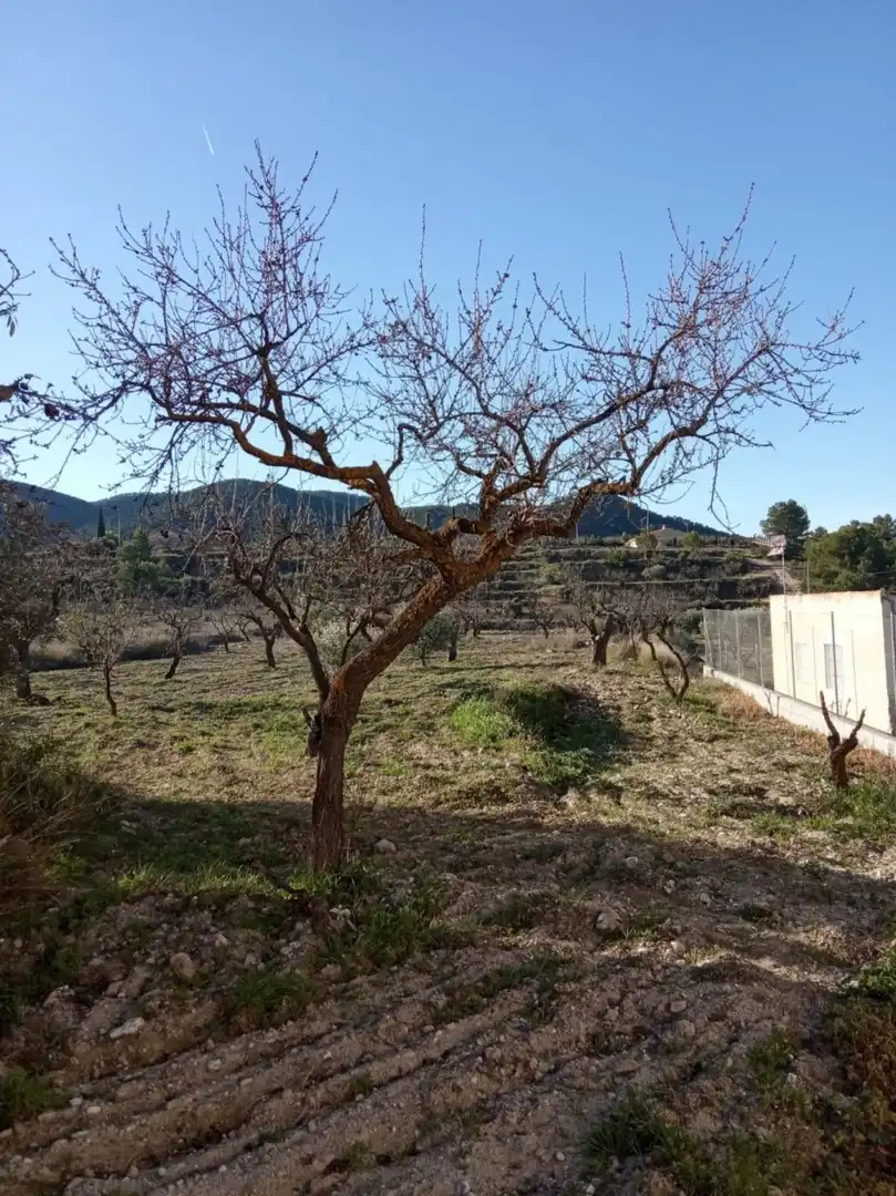 Casa rústica en venda a Ricote, imagen 9