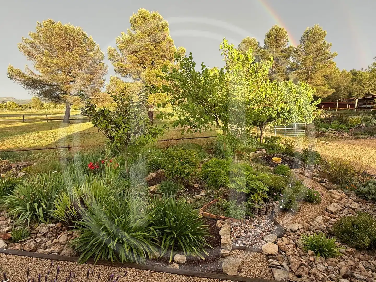 House with garden for sale in d'El Perelló, imagen 49