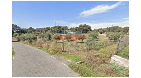 Finca rústica en venta en Millanes, Cáceres.